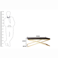 The Attic Magnus Elegant Marble and Iron Design Coffee Table Black and Gold The Attic Magnus Elegant Marble and Iron Design Coffee Table Black and Gold