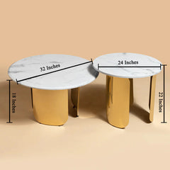 Luxe Slate Centre Table for Living Room - Set of 2 (Stainless Steel) Luxe Slate Centre Table for Living Room - Set of 2 (Stainless Steel)