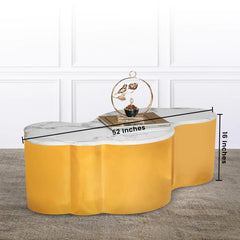 Pyrite Cloud Centre Table For Living Room (Stainless Steel) Pyrite Cloud Centre Table For Living Room (Stainless Steel)