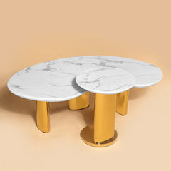 Radiant Rendezvous Centre Table - Set of 2 (Stainless Steel) Radiant Rendezvous Centre Table - Set of 2 (Stainless Steel)
