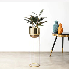 Modish Gold Planter - Small