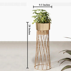 Zen Botanics Planters - Small - Gold