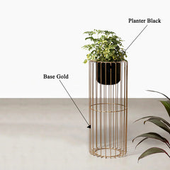 Botanic Couture Planters - Small - Black