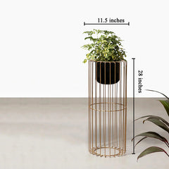 Botanic Couture Planters - Small - Black