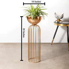 Urban Zen Planter (Gold Stand & Ross Gold Pot) - Small