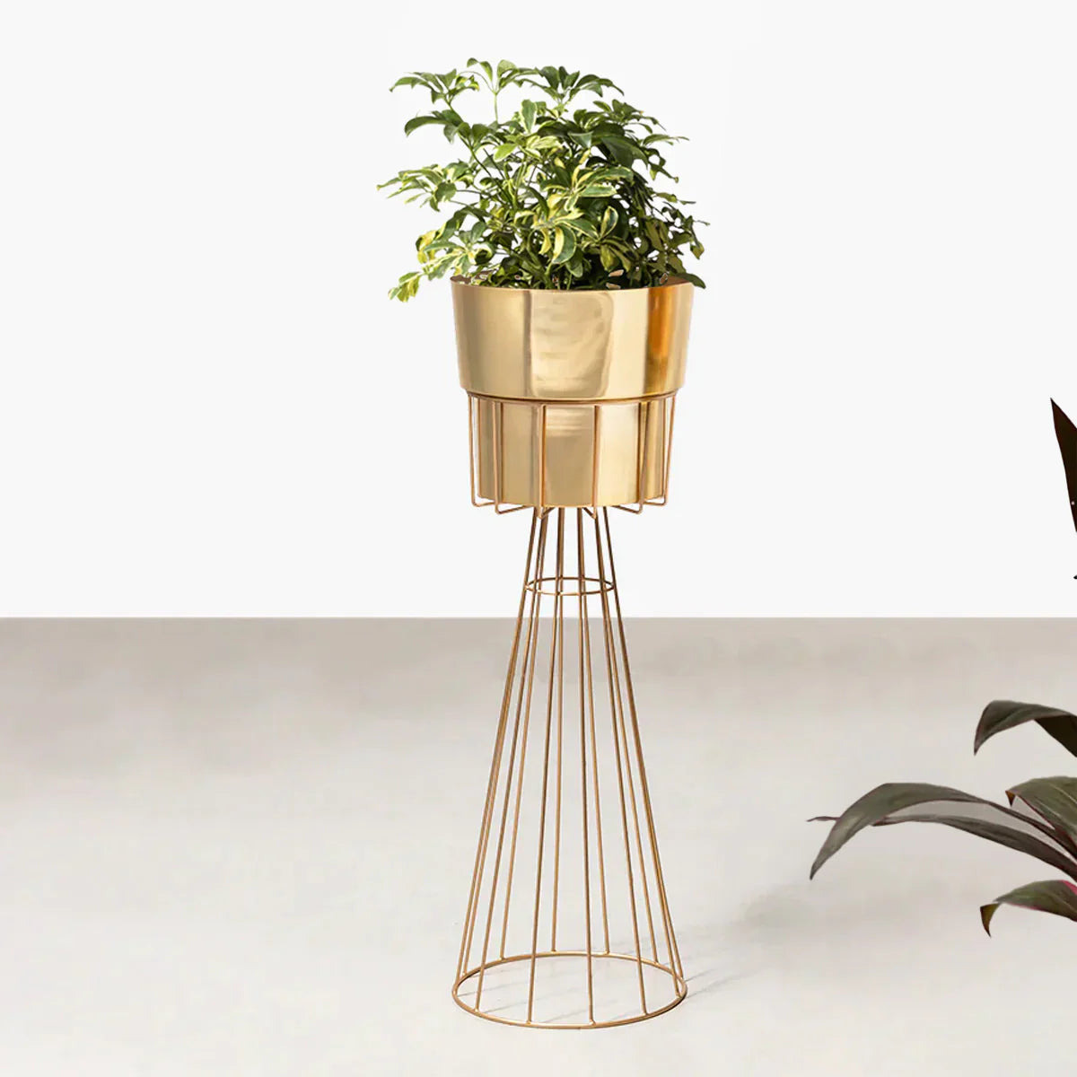 Avant-Garden Planters - Big - Gold