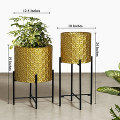 Leafy Love Planters - Set of 2