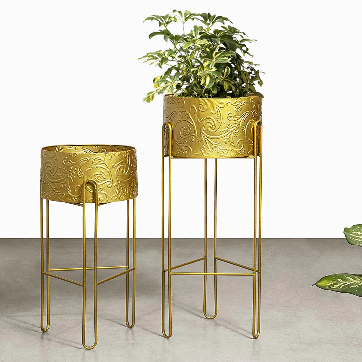 Opulent Majesty Planters - Set of 2