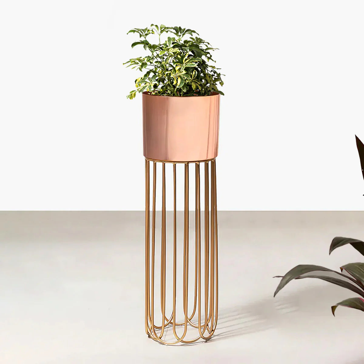 Artisan Arboretum Planters - Big - Rose Gold