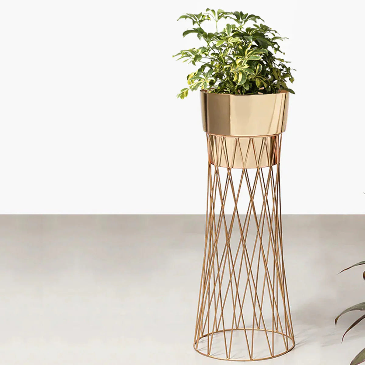 Zen Botanics Planters - Big - Gold