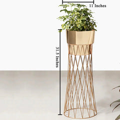 Zen Botanics Planters - Big - Gold