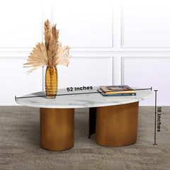 Elysian Essence Centre Table for Living Room (Stainless Steel)