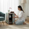 Indian Hand Painted Solid Wood Bedsides Table B9