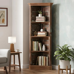 Indian Vintage Old Door Solid Wood Display Bookshelf B59