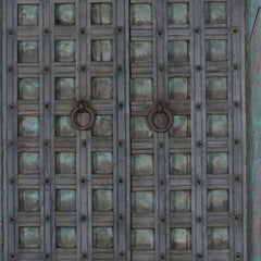 Indian Vintage Antique Hand Carved Reclaimed Teak Wood Door Panel 119