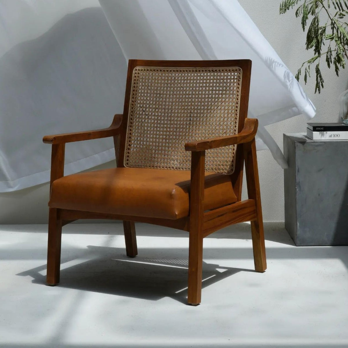 The Gileteen Wooden Martin Rattan Lounge Chair for Dining & Living Room Mango Wood