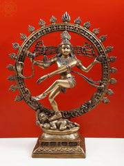 Indian Lord Nataraja Shiva Brass Statue