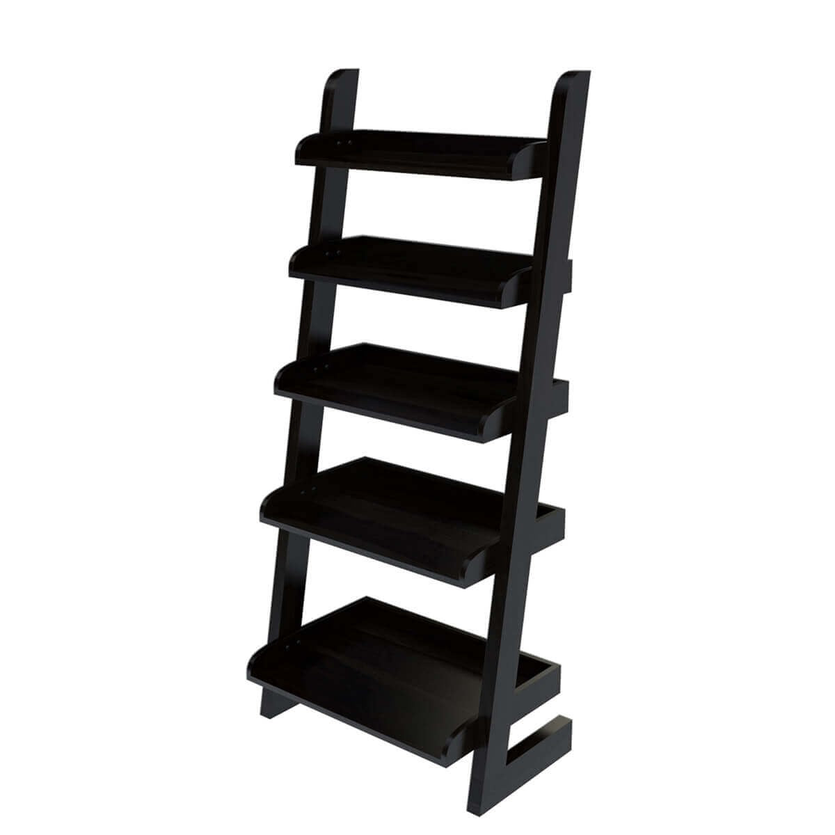 Ignacio 5 Open Shelf Solid Wood Leaning Ladder Bookcase