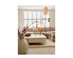 Indian Hand Carved Solid Wood Coffee Table C83