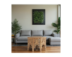 Indian Hand Carved Solid Wood Coffee Table C85