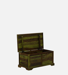 Shutter Handmade Indian Furniture Sheesham Wood Coffee Table Trunk Spring Green Finish