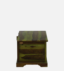 Shutter Handmade Indian Furniture Sheesham Wood Coffee Table Trunk Spring Green Finish