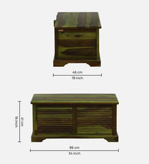 Shutter Handmade Indian Furniture Sheesham Wood Coffee Table Trunk Spring Green Finish