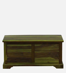 Shutter Handmade Indian Furniture Sheesham Wood Coffee Table Trunk Spring Green Finish