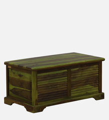 Shutter Handmade Indian Furniture Sheesham Wood Coffee Table Trunk Spring Green Finish