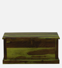 Shutter Handmade Indian Furniture Sheesham Wood Coffee Table Trunk Spring Green Finish