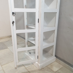 Indian Hand Carved Mango Wood Display Cabinet D105