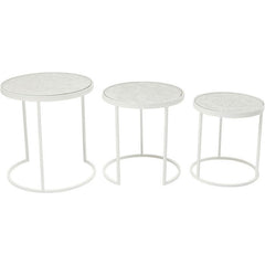 Vivid French Contemporary Mango Wood Coffee table with Metal frame set of 3